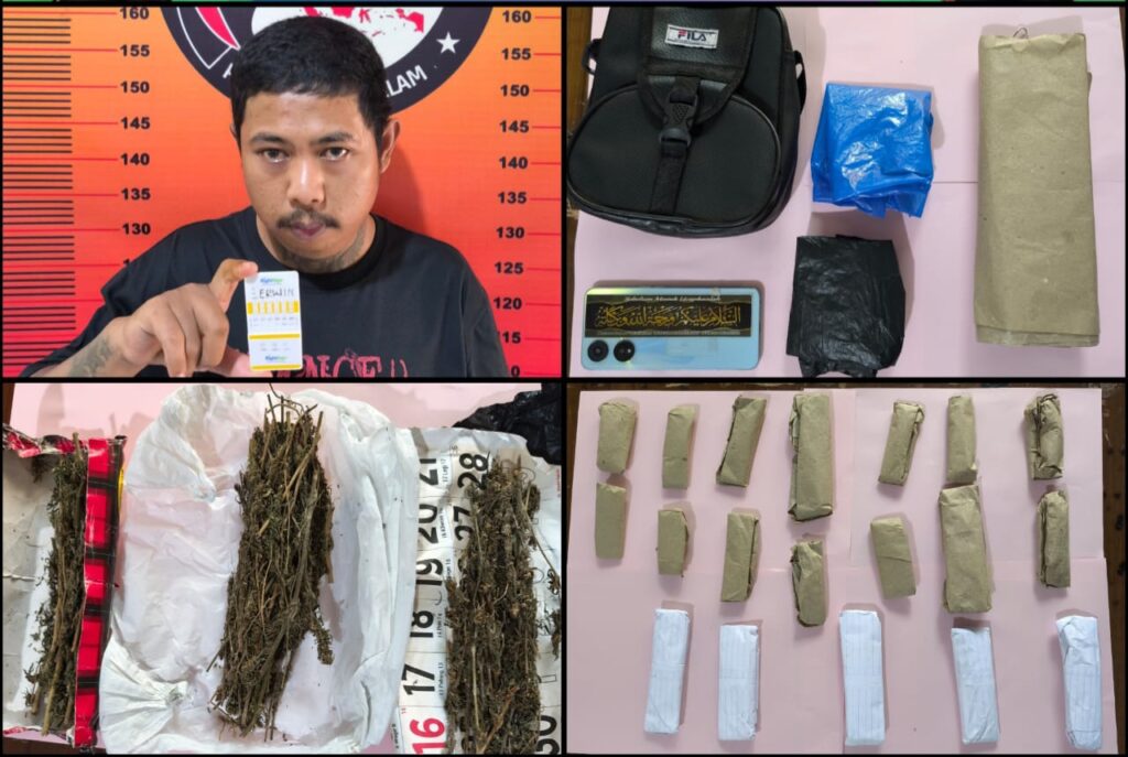 Satresnarkoba Polres Pagar Alam Tangkap Pengedar Ganja, 20 Paket Disita