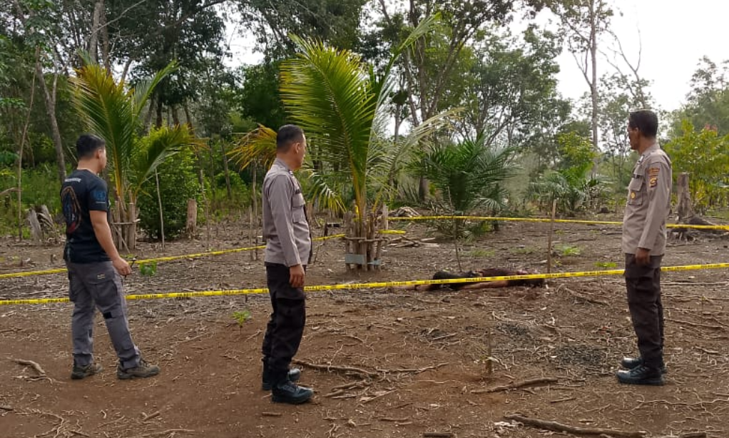 Mayat Pria Tanpa Identitas Ditemukan Bersimbah Darah di Kebun Warga Empat Lawang