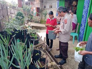 Dukung Ketahanan Pangan, Polsek Semendo Bina Warga Tanam Cabai dan Daun Bawang