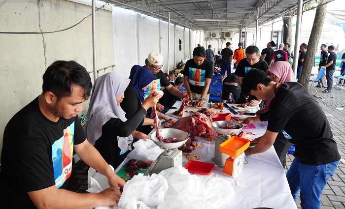 Rayakan Idul Adha 1446H, PLN Salurkan Daging Kurban di Berbagai Daerah