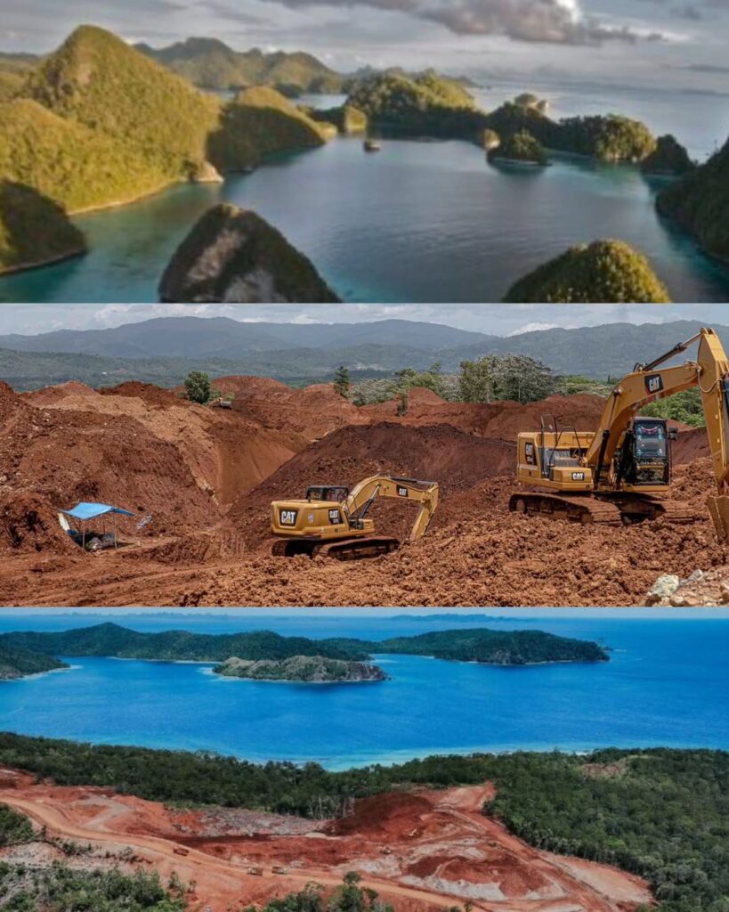 Menteri ESDM Hentikan Sementara Izin Tambang PT Gag Nikel di Raja Ampat