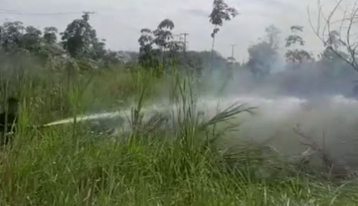 Selama Dua Pekan, Enam Titik di Lubuklinggau Alami Kebakaran Lahan