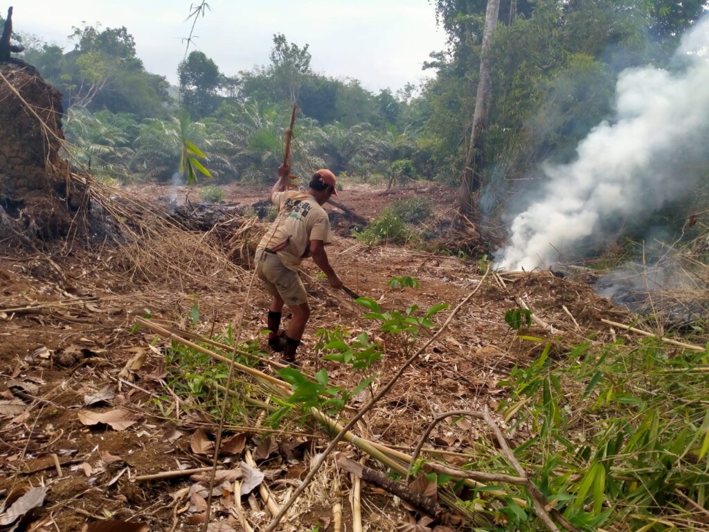 Terkendala Kondisi Lapangan dan Peralatan, Satu Hektar Lahan di Belalau Lubuklinggau Terbakar