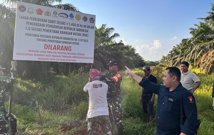 Melebihi Batas Tanam, 1.468 Hektare Lahan Sawit PTPN VII Betung Disita Satgas Penertiban Kawasan Hutan