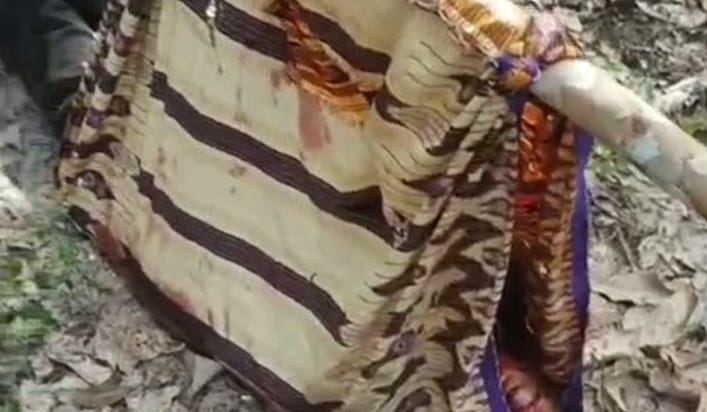 Beruang Kembali Serang Petani Karet di Musi Rawas, Korban Luka Parah dan Tak Sadarkan Diri