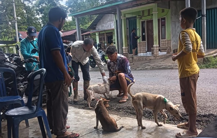 Cegah Rabies Meluas, Puluhan Hewan di Empat Lawang Divaksinasi
