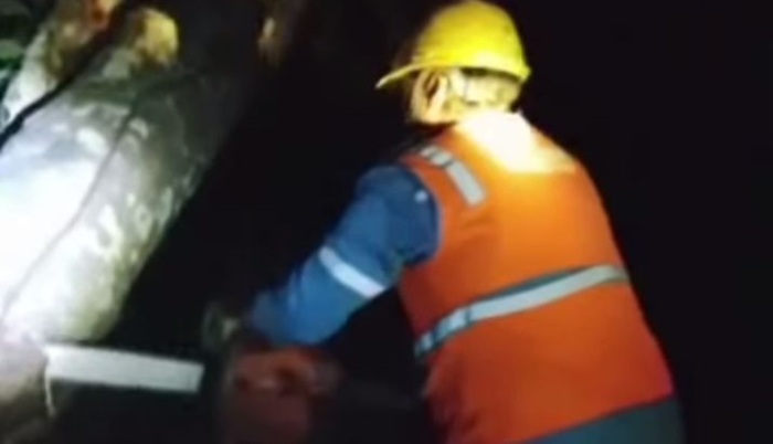 Pohon Tumbang Dominasi Penyebab Jaringan Listrik PLN di Lubuklinggau Terganggu