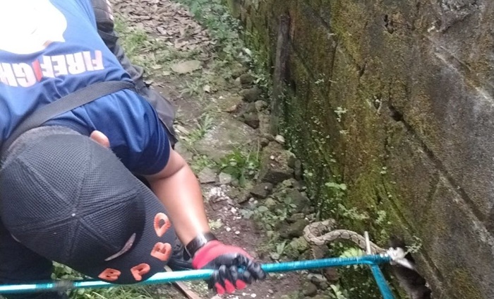 Mangsa Ternak Warga, Kasus Ular Masuk Pemukiman di Lubuklinggau Meningkat