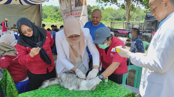 Dinkes Empat Lawang Catat 214 Kasus Gigitan Hewan, Satu Orang Meninggal Dunia Akibat Rabies