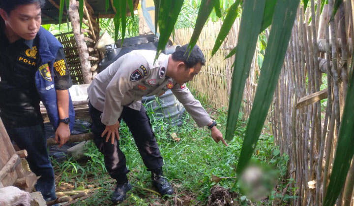 Diduga Diserang Hewan Buas, Ternak Warga di Muara Enim Tewas Mengenaskan