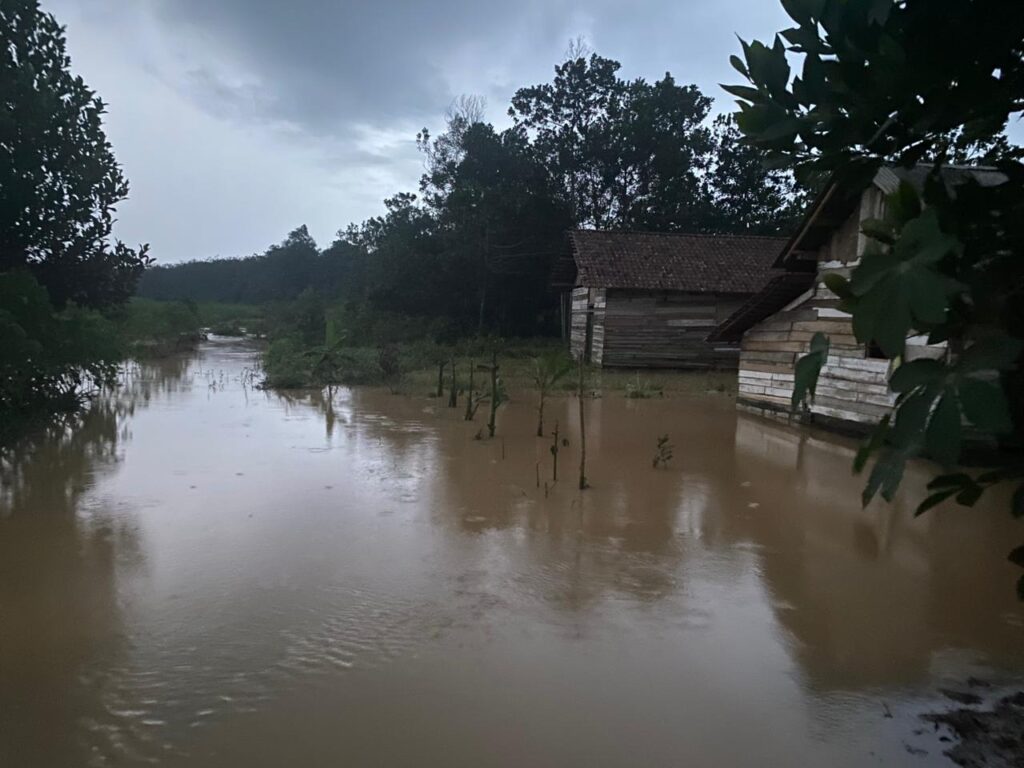 Sungai Burnai di OKU Timur Meluap ke Pemukiman, Warga Mengungsi