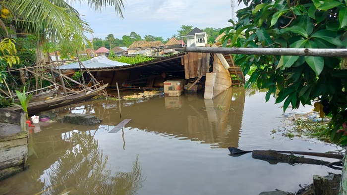 Terbawa Arus Sungai, Tumpukan Eceng Gondok Robohkan Rumah Warga di OKI