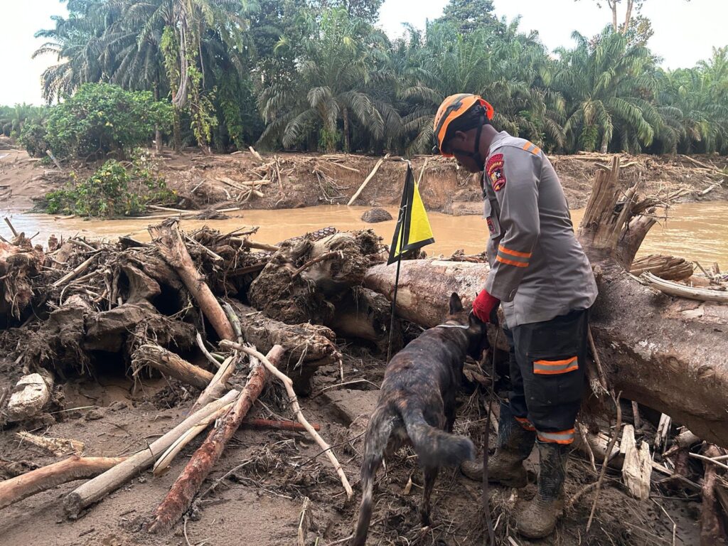 KLHK Bongkar Perusahaan Pemicu Banjir Bandang Sumut, 8 Perusahaan Akan Dipanggil