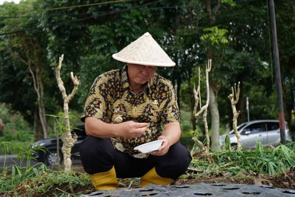 Jaga Pasokan, Wali Kota Pagar Alam Ajak Petani Tanam Bawang Merah