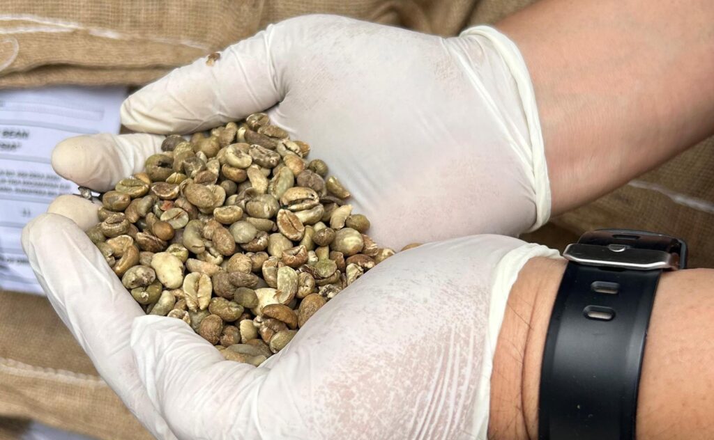 Karantina Sumsel Sertifikasi 8,8 Ton Kopi Robusta Pagaralam untuk Ekspor ke Australia