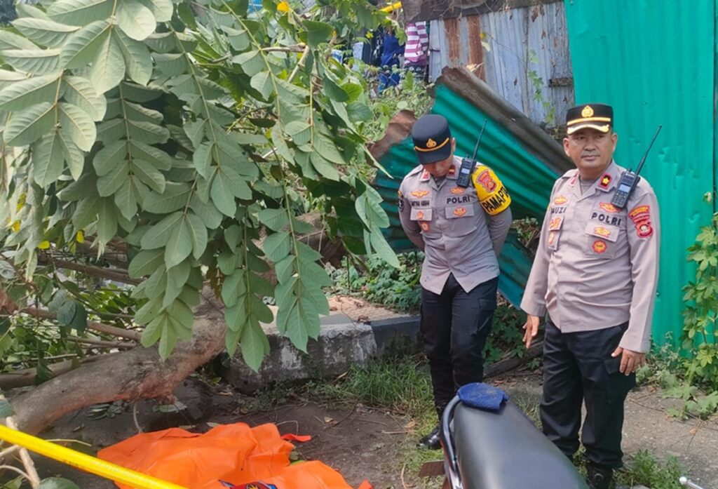 Tertimpa Pohon Tumbang di Jalan, Pengemudi Ojol di Palembang Tewas
