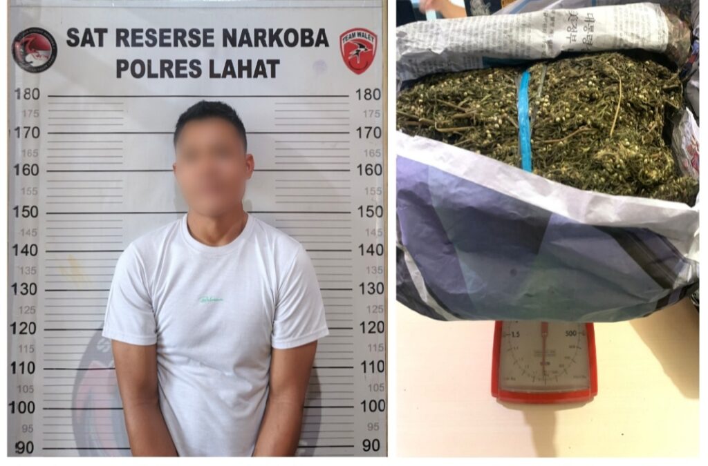 Naik Angkot Bawa 1 Kilogram Ganja, Seorang Pria di Lahat Tertangkap Polisi