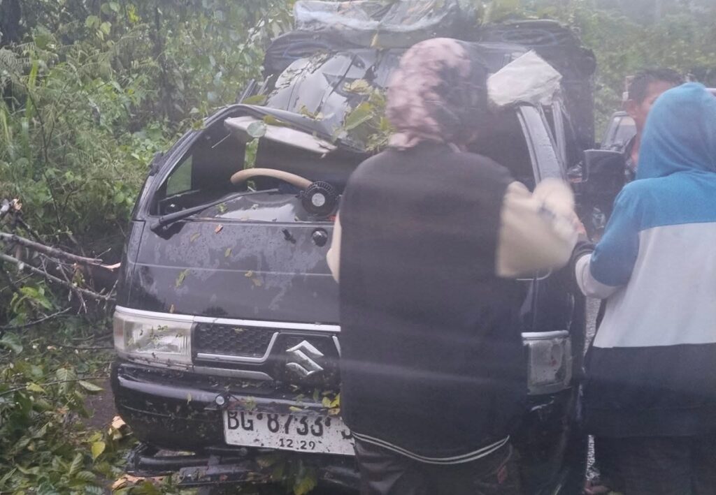Pohon Tumbang Timpa Mobil di Jalan Poros, Warga Empat Lawang Diminta Waspada Cuaca Ekstrem
