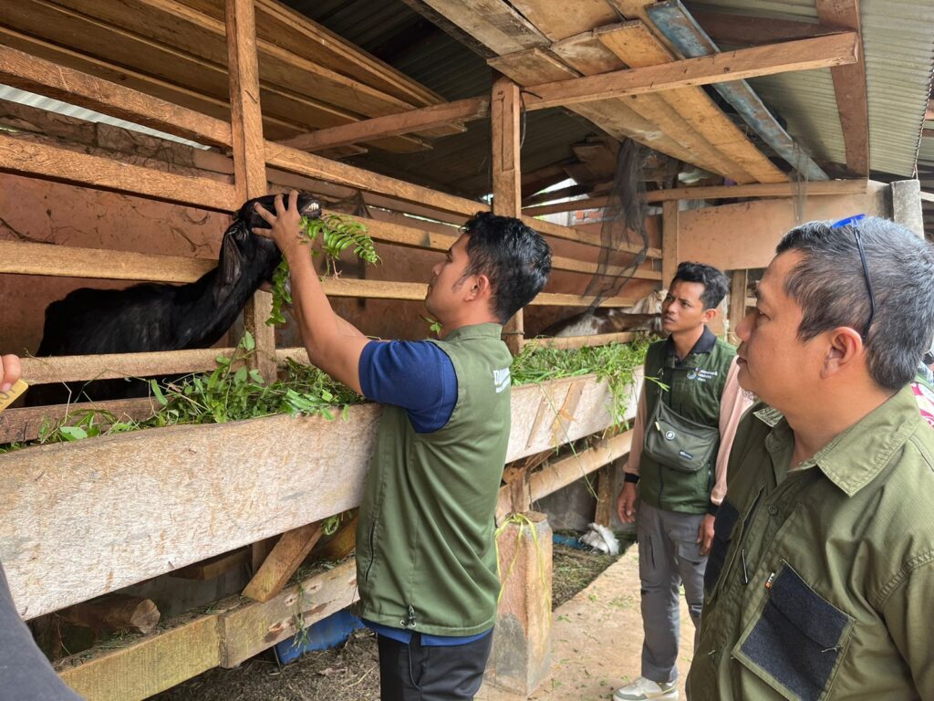 Jelang Idul Adha, Dinas Pertanian Lubuklinggau Terjunkan Tim Cek Kesehatan Hewan Kurban