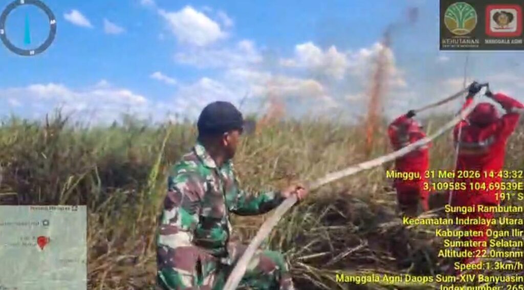 19 Hektare Lahan di Sumsel Terbakar, Didominasi Lahan Gambut