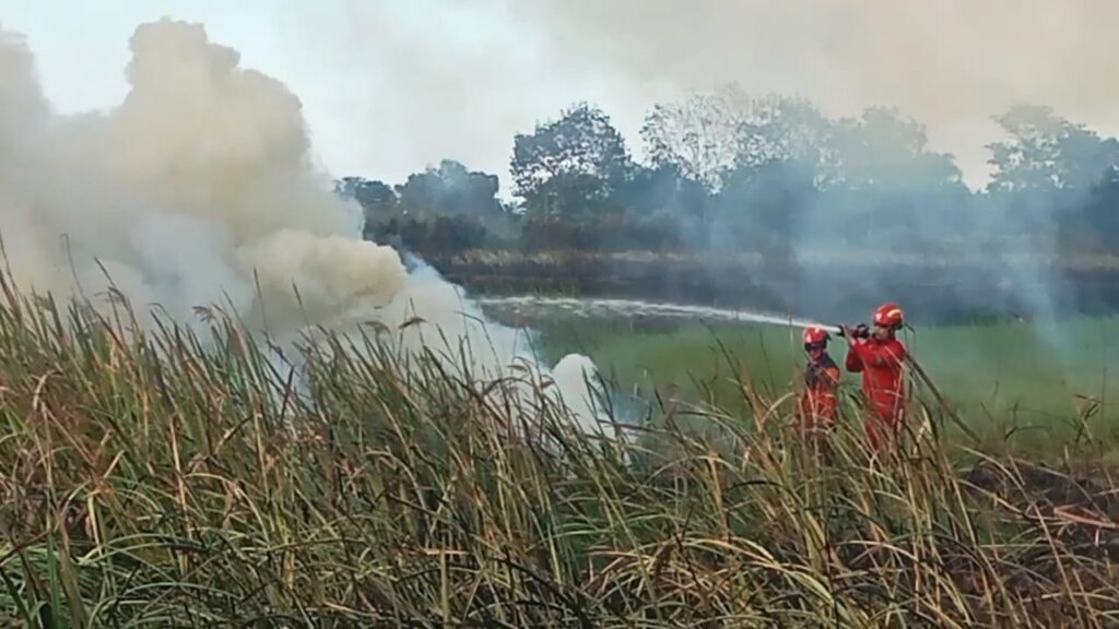 Lebih dari 30 Hektare Lahan Terbakar di Ogan Ilir, Api Nyaris Capai Rumah Warga