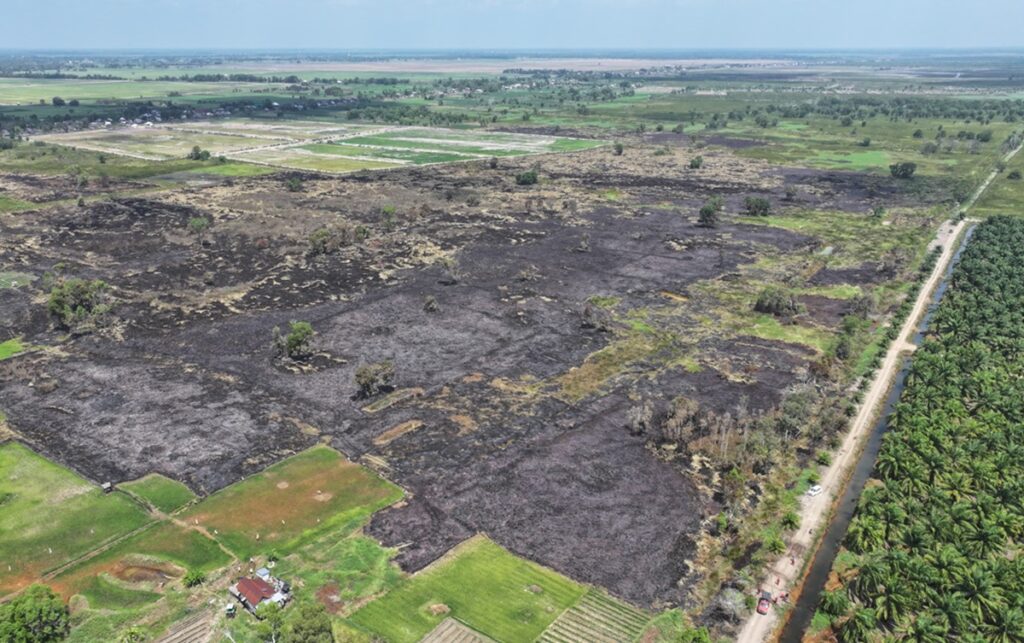 Karhutla di Sumsel Meluas, 664 Hektare Lahan Terbakar