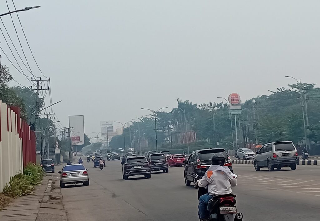 Asap Karhutla Memburuk, Dinkes Sumsel Wanti-wanti Ancaman ISPA