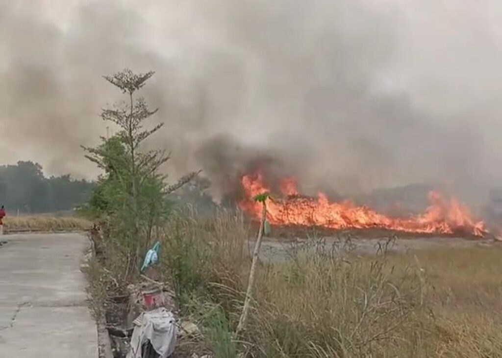 Api Lahap Lahan Kosong di Tanjung Barangan, Permukiman Warga Nyaris Terancam