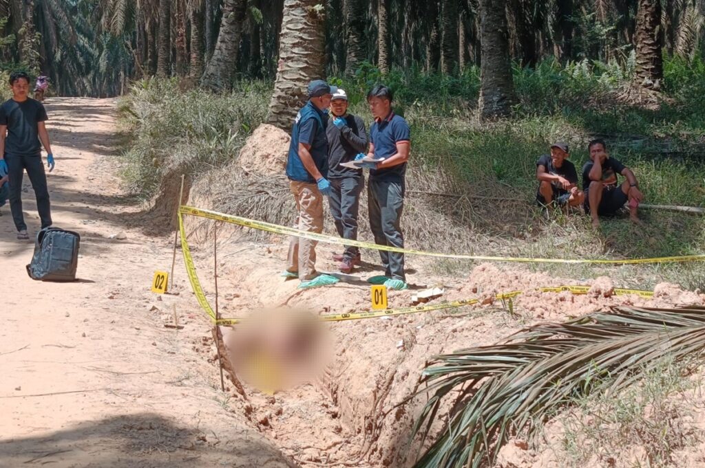 Mayat Pria Ditemukan di Perkebunan Sawit Muba, Polisi: Ada Luka Benda Tumpul Dibagian Dada