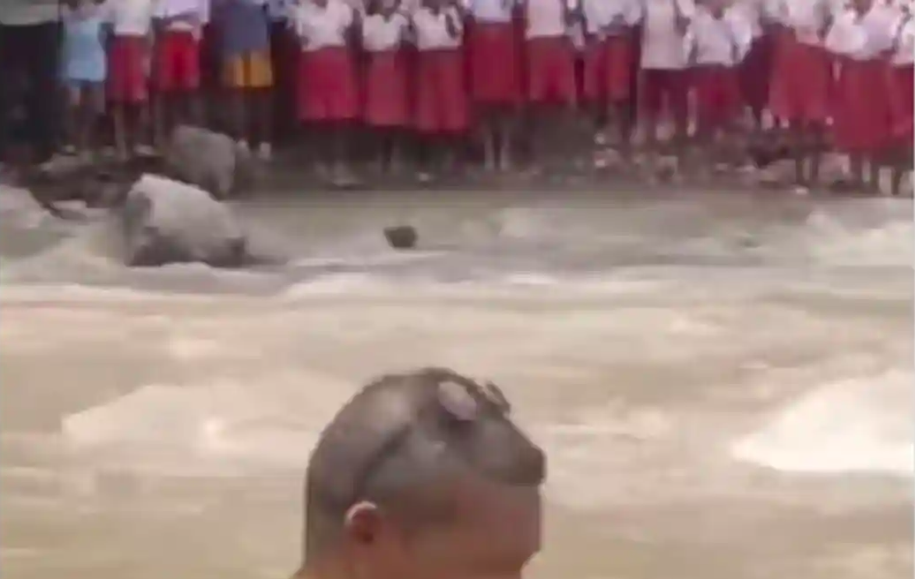 Lewati Sungai untuk Sekolah, Semangat Siswa SDN Oelbaf Justru Makin Membara
