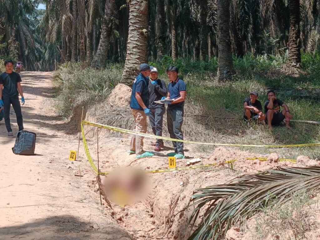 Geger! Jasad Buruh Harian Asal Palembang Ditemukan di Parit Kebun Sawit PT Hindoli