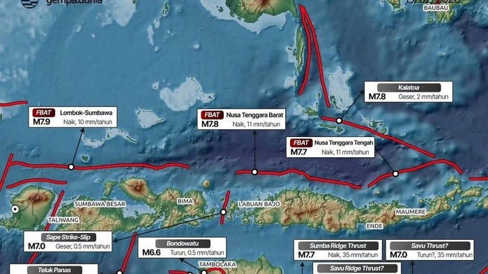Gempa M7,7 NTT Tewaskan 5 Orang