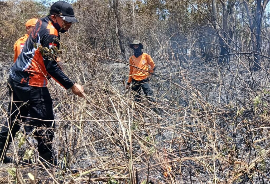 Dalam Sepekan, Tujuh Titik Karhutla Terpantau di Dempo Selatan Pagar Alam