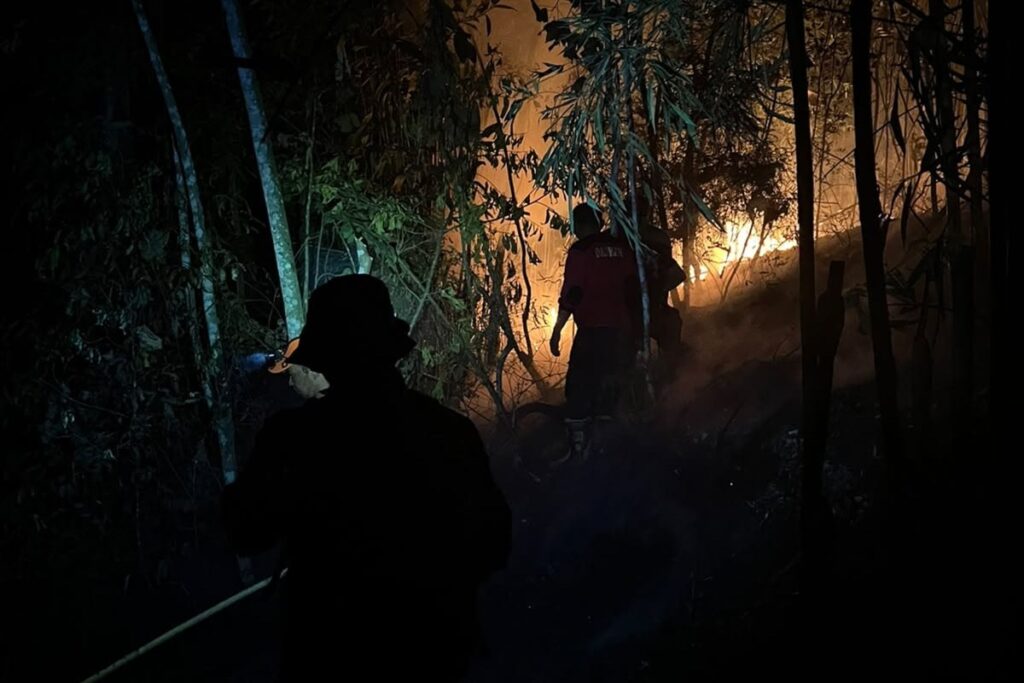 Karhutla Kembali Muncul di Dempo Selatan, Dua Hektare Lahan Terbakar
