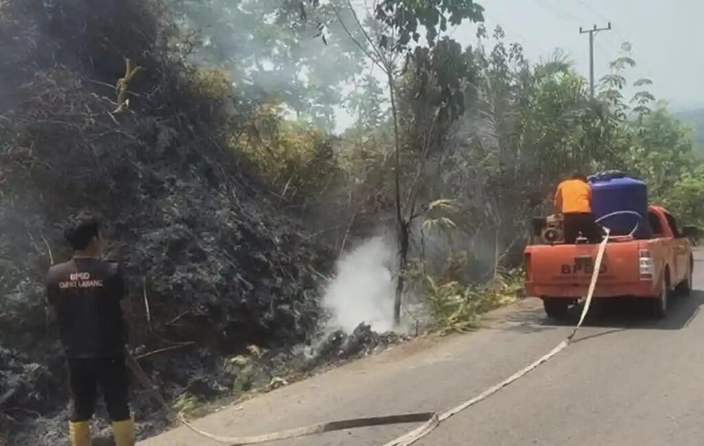 Tim Gabungan di Muara Enim Gerak Cepat Padamkan Karhutla di Desa Karang Raja