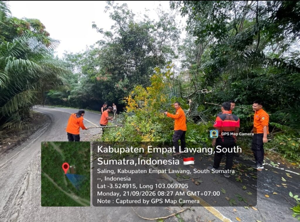 Diguyur Hujan Deras, Pohon Tumbang Tutup Separuh Jalinteng Empat Lawang
