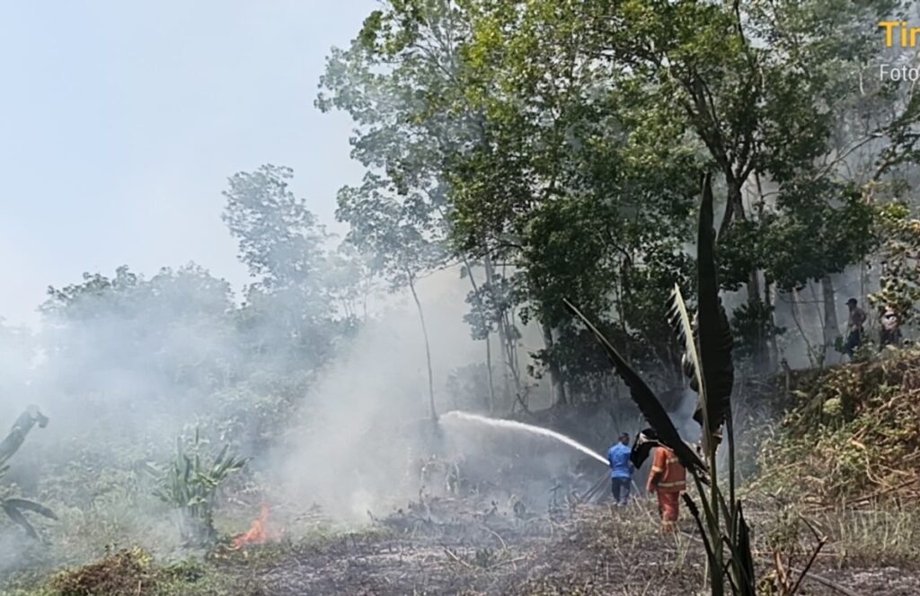 Karhutla di Lubuklinggau Hanguskan 22 Hektar Lahan