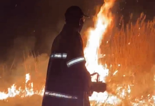 Karhutla Melanda Kawasan Bandara Atung Bungsu Pagar Alam, Gudang dan Rumah Dinas Nyaris Terbakar