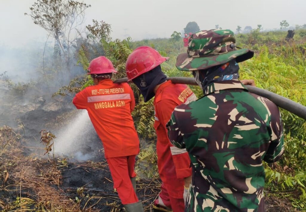 11,5 Hektare Lahan di Muba Terbakar dalam Dua Hari