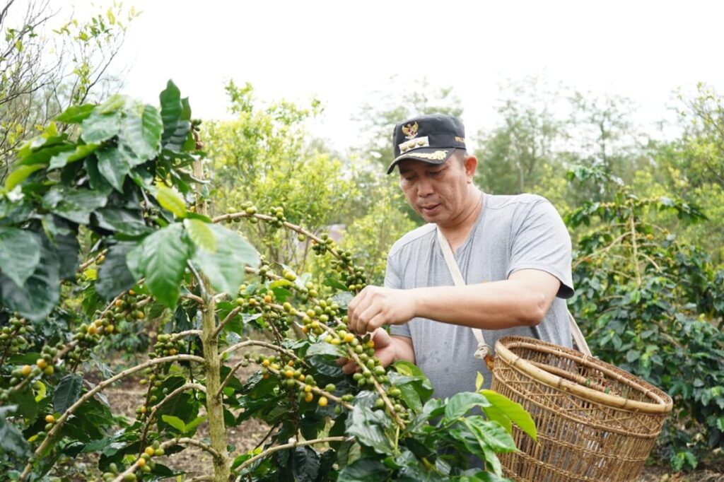 Kopi Robusta Raden Kuning Pagar Alam Tembus Festival Gastronomi Barcelona 2026