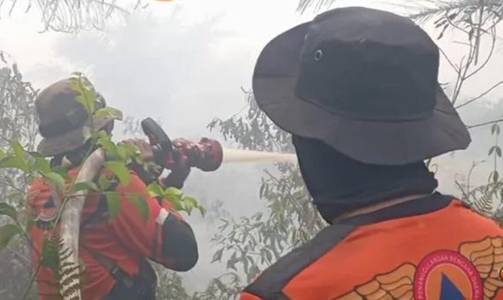 Karhutla di Gelumbang Muara Enim Meluas, 30 Hektare Lahan Terbakar