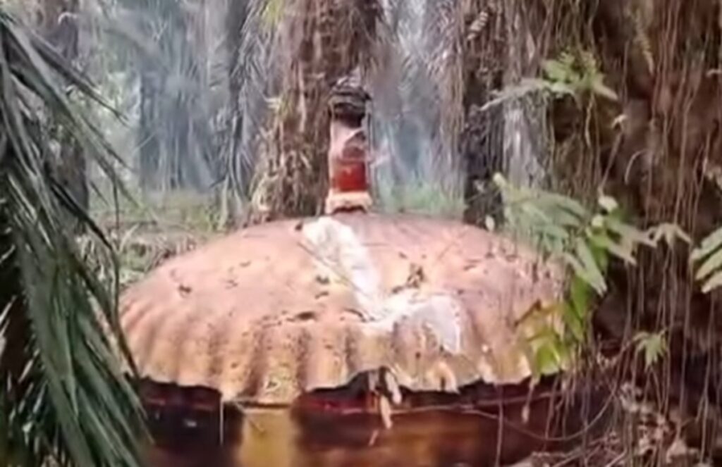 Heboh! Benda Asing Kembali Ditemukan di Area Perkebunan Kalteng